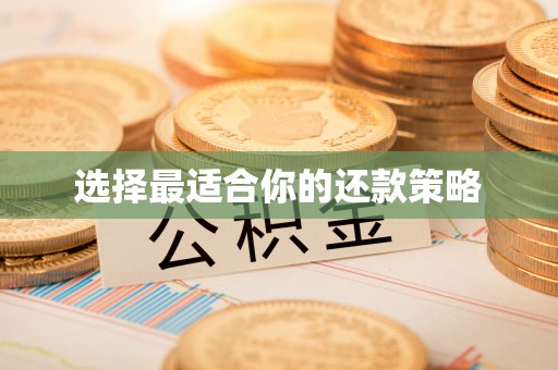 和美选择最适合你的还款策略